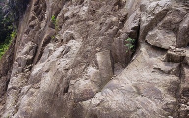 fractured granitic rocks outcrop near the road