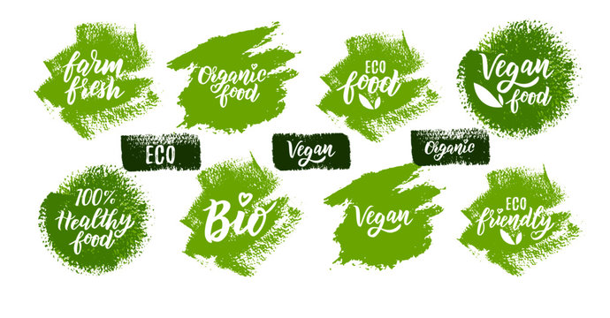 Organic food hand lettering text set for logo , stickers or label. Element for design menu restaurant or café. Typography vector illustration.