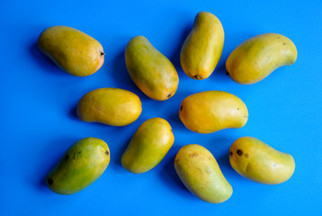 Ripe mangoes in blue background