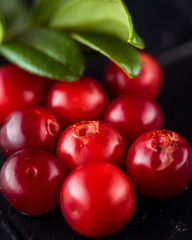 Harvest fresh red Vaccinium vitis-idaea, cranberries, lingonberries, cowberries on rustic dark...