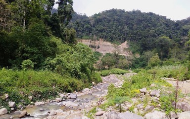 the morphology of small river