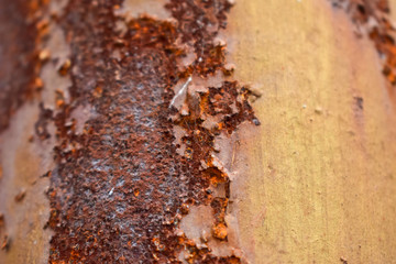 Rustic Iron Sheet Texture Background Image Stock Photo