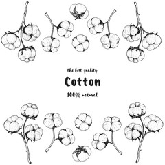 Cotton hand drawn sketch. Vintage vector illustration. Design template. Drawn with ink. Engraving style. Cotton illustration.