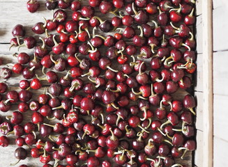 Red round hot cherry pepper dried on a wooden background. We grow and dry ourselves. Organic products.