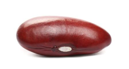Raw red bean kidney macro isolated on white background