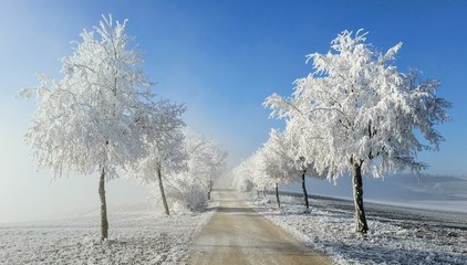 Winterweg