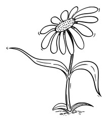 Vector illustration of cartoon flowering daisy plant character showing or pointing at something by leaf. Ecology or nature advertisement or marketing design.