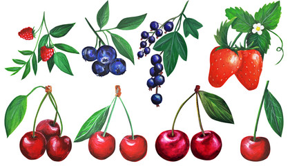  Colorful hand drawn set with fruits. emulation of oil painting. Gouache illustration of healthy food. © Bulgakova Kristina