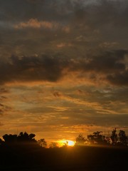 sunset in city