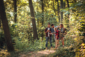 Naklejka na ściany i meble Four friends having fun hiking through forest together. 