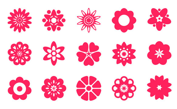 Pink Vector Flowers Set Isolated