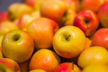 Red and orange apples background full of oranges. Fresh red apple on the market.