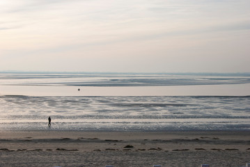 France. Baie de Somme. promeneur sur la plage de sable à marée basse sous le soleil. walker on the sandy beach at low tide under the sun.
