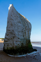 View of chalk cliffs at Botany Bay near Broadstairs in Kent