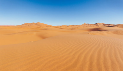 Fototapeta na wymiar Sand dune and blue sky without clouds. Sahara Desert, Morocco. Travel photo, copyspace.