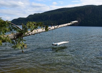 toy swing made of natural wood  hanging above the water from a tree trunk at the shoreline of  Comox Lake, Comox Valley Vancouver island, BC Canada