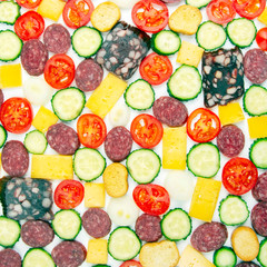 Fototapeta na wymiar sliced ​​pieces of sausage, salami, cheese, cucumber and tomato on a white background. fast food. ingredients for pizza. calories and diet