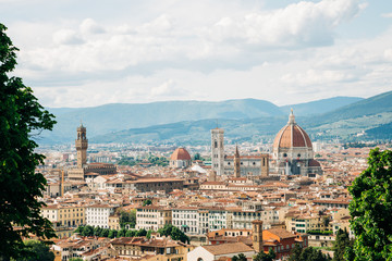 Fototapeta na wymiar Panoramic view of the cityscape of Florence, Italy