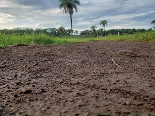 Terra molhada na estrada da fazenda