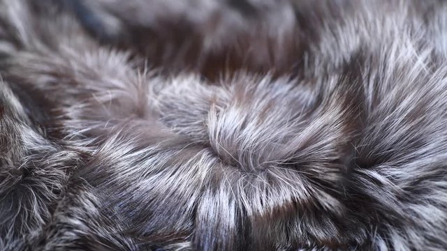 Real silver fox Fur background. Gray with black Fur clothes texture closeup. Soft and fluffy grey macro shot. Fluffy Texture surface Rotation. Backdrop. Slow motion. 4K UHD video