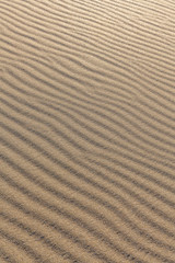 Sand Texture. Background from fine sand. Sand background. selective focus