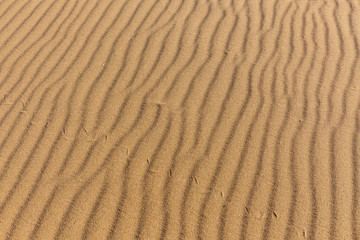 Sand Texture. Background from fine sand. Sand background. selective focus
