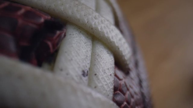 Close up macro of an American Football showing the texture of the leather and laces