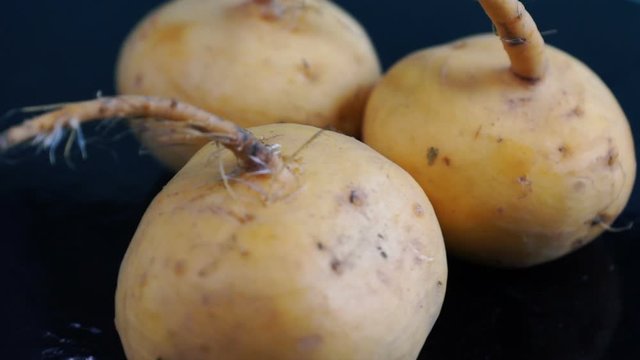 turnip on top  