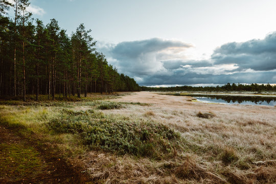 Lahemaa National Park In Estonia.