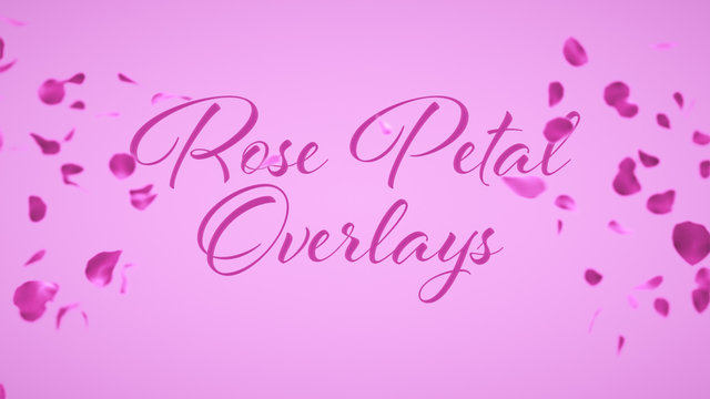 Rose Petal Overlays