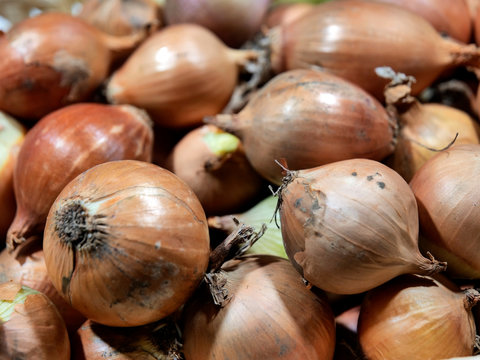 Koszyk z cebulą na stole na białym tle  