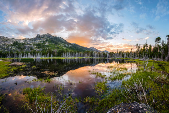 A beautiful sunset and a section of the Sierra Crest (Flagpole Peak, Echo Peak and Mount Tallac) reflect in an alpine swamp near South Lake Tahoe, California.