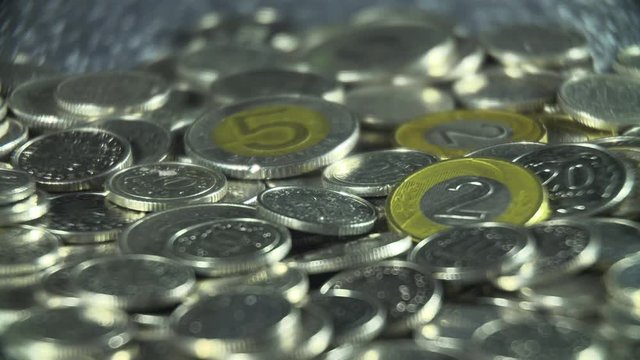 Polish coins, panorama