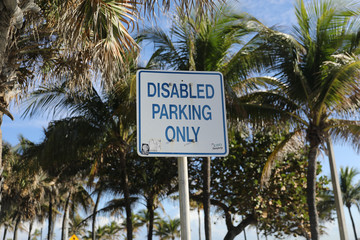 Disabled Parking Sign in Palm trees and Florida 