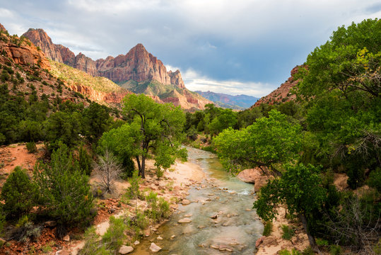 Beautiful soft light illuminates a stunning view of the Virgin River and The Watchman in Zion National Park, Utah.