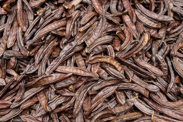 closeup of a pile of ripe carobs after harvesting