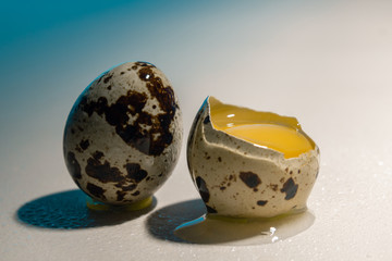 one broken quail eggs and a yolk light background and blue module light, close up, copy space