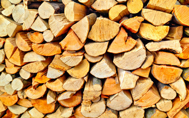 Colorful background of fresh cut timber close up view