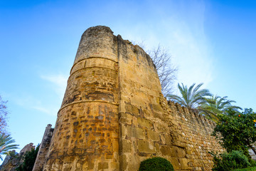 Remains of the fortress of Marbella, Andalusia, Spain	