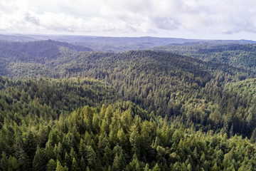 An aerial view of the Big River Forest, an area of land protected and managed by the Conservation Fund near Mendocino, California.