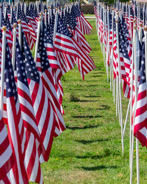Rows of nation flags of the United States of America are on display in a field.