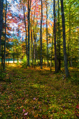 Autumn, Canaan Valley State Park, West Virginia