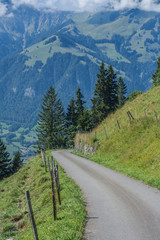 Naklejka premium Beautiful swiss alps mountains. road. 