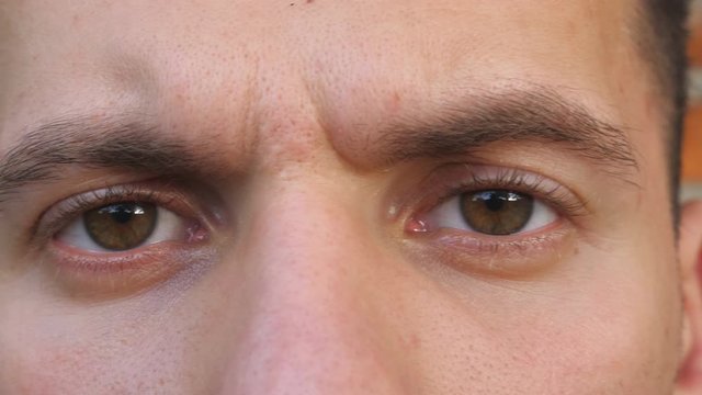 Close up brown eyes of guy staring and blinking with angry sight. Portrait of male face seriously looking into camera with negative emotion. Facial expression of confident young man