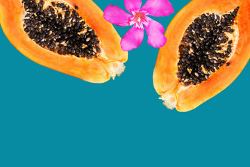 Cut in half ripe juicy papaya pink frangipani flower on blue turquoise background. Tropical fruits summer vacation fun concept