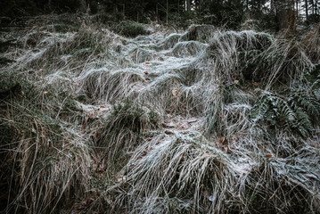 Landschaft mit Schnee