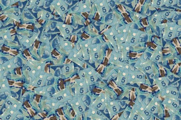 Sir Wilfrid Laurier Portrait from Canada 5 Dollars 2013 Polymer Banknotes pattern