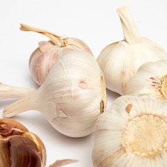 the Garlic isolated on plain white background