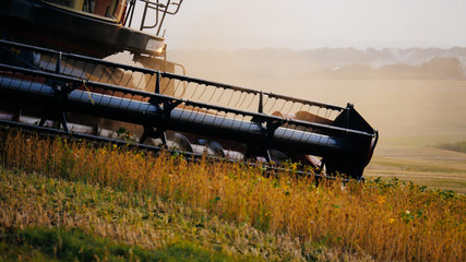 Harvester blade at sunset in the field
