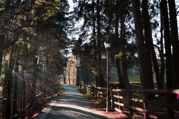 Photo of an alley in Sinaia Romania that takes you to the monastery.